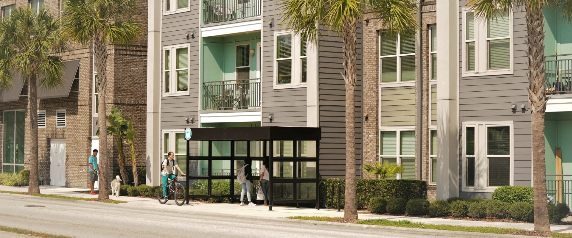 How to Request a Stop at a Specific Address on Public Transportation in Hillsborough County, FL